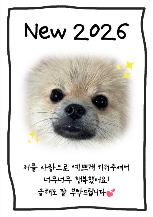 2026행운부적